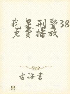 我是刑警38集免费播放