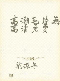 高潮毛片无遮挡高清免费