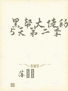 黑帮大佬的365天第二季