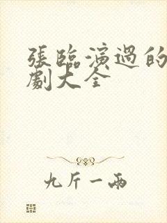 张临演过的电视剧大全封面