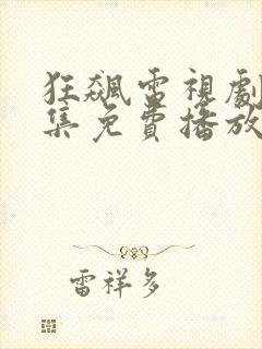 狂飙电视剧40集免费播放