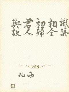 与君初相识恰似故人归全集在线观看