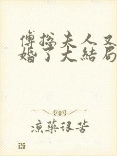 傅总夫人又闹离婚了大结局