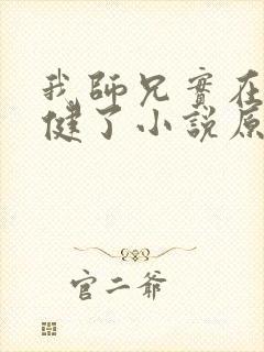 我师兄实在太稳健了小说原著