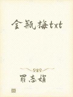 金瓶梅txt封面