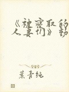 《被寝取的巨乳人妻们》动漫在线观