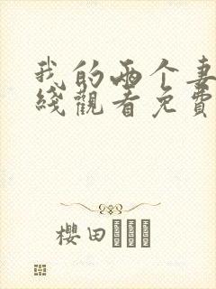 我的两个妻子在线观看免费版电视剧全集