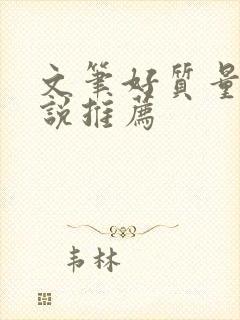 文笔好质量高小说推荐