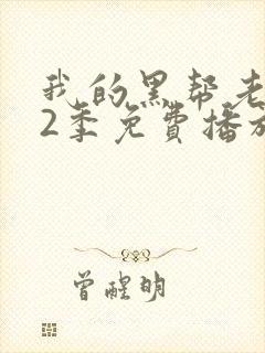 我的黑帮老大第2季免费播放完整版