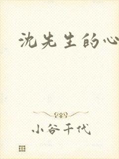 沈先生的心头宝