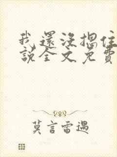 我还没摁住她小说全文免费阅读无弹窗封面