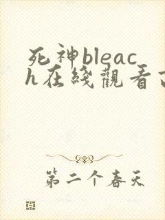 死神bleach在线观看高清完整版免费