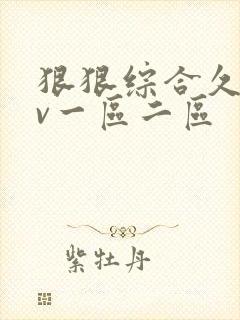 狠狠综合久久av一区二区