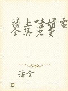 榜上佳婿电视剧全集免费