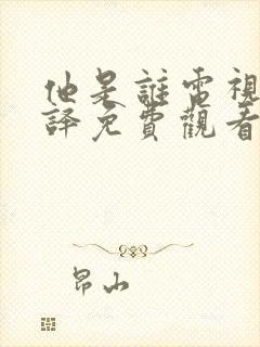 他是谁电视剧张译免费观看全集