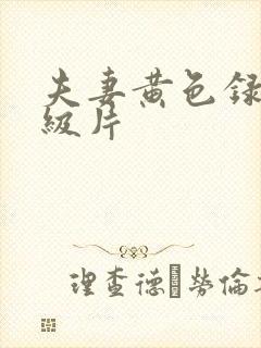 夫妻黄色录像一级片封面