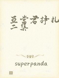 亚当君挣扎吧第二集