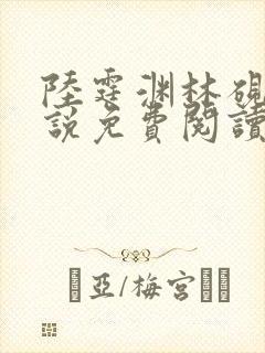 陆霆渊林砚秋小说免费阅读最新章节列表