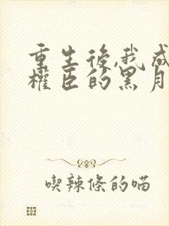 重生后,我成了权臣的黑月光