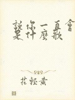 说你一直会爱我是什么歌