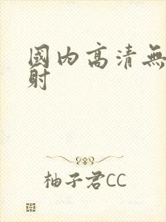 国内高清无套内射