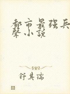 都市最强兵王有声小说