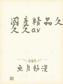 国产精品久久久久久av