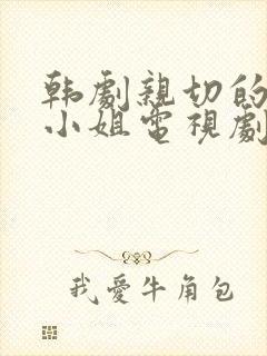 韩剧亲切的善珠小姐电视剧免费观看封面