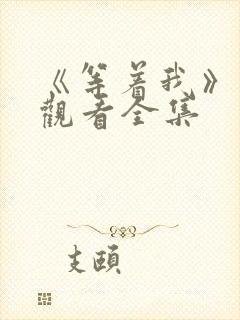 《等着我》免费观看全集