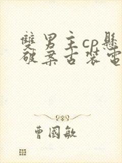 双男主cp悬疑破案古装电视剧