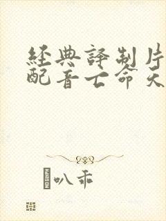 经典译制片国语配音亡命天涯