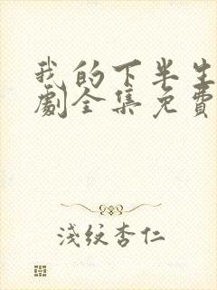 我的下半生电视剧全集免费观看封面