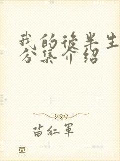 我的后半生剧情分集介绍