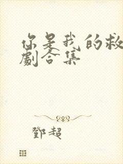 你是我的救赎短剧合集封面