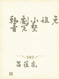 韩剧小姐免费观看完整