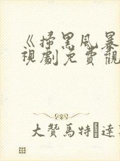 《扫黑风暴》电视剧免费观看完整版封面