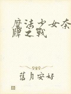 魔法少女奈叶王牌之战