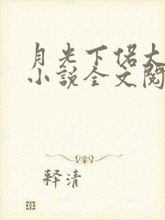 月光下偌大房间小说全文阅读