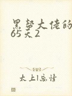 黑帮大佬的第365天2