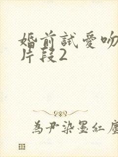 婚前试爱吻戏床片段2