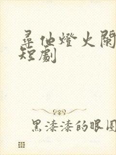 寻他灯火阑珊处短剧