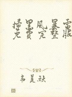 扫黑风暴电视剧免费完整版2021