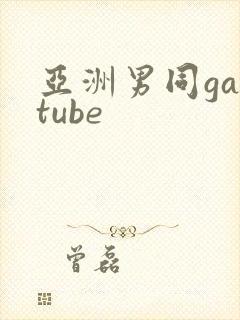 亚洲男同gaytube封面