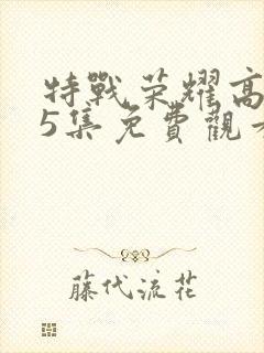 特战荣耀高清45集免费观看全集