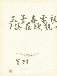 正青春电视剧47集在线观看免费封面