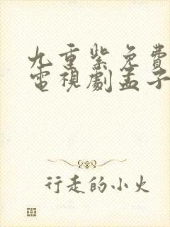 九重紫免费播出电视剧孟子义