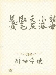 凤傲天小说里的黄毛反派也想幸福最新封面