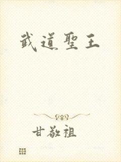 武道圣王