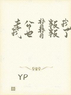 老公背叛我了,我也背叛了她封面