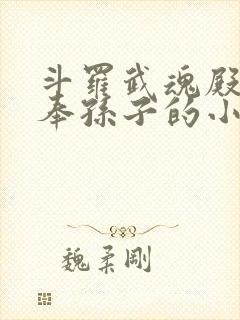 斗罗武魂殿二供奉孙子的小说封面